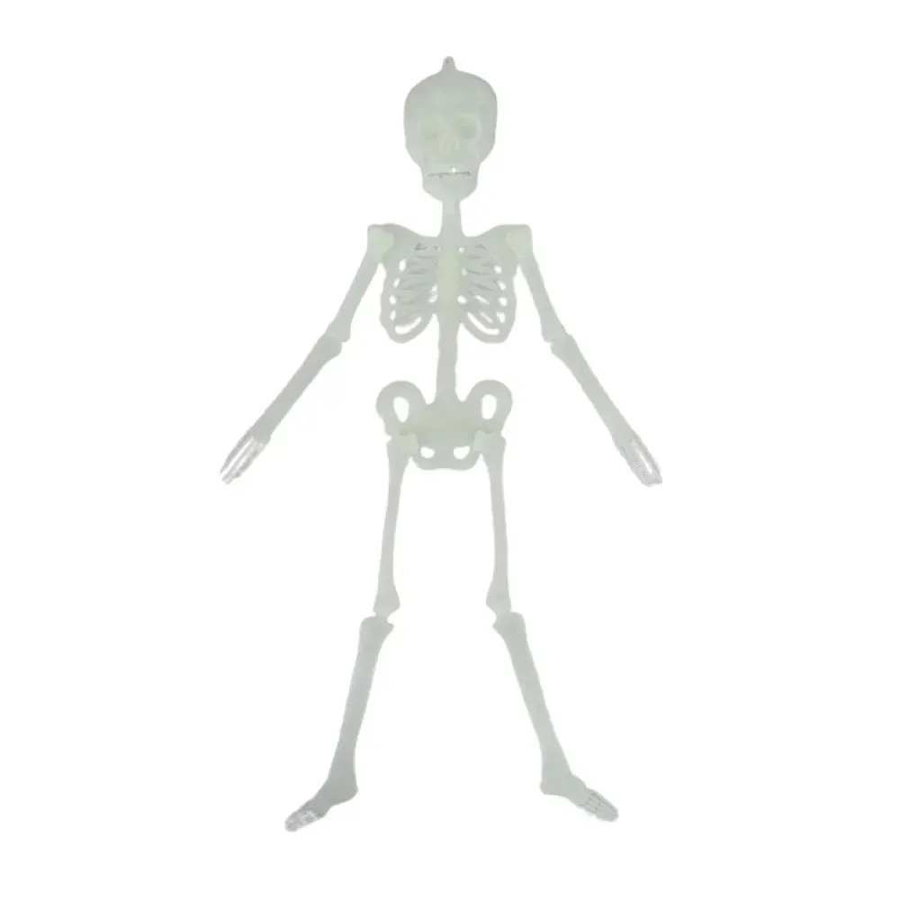 ESQUELETO FLUORESCENTE 